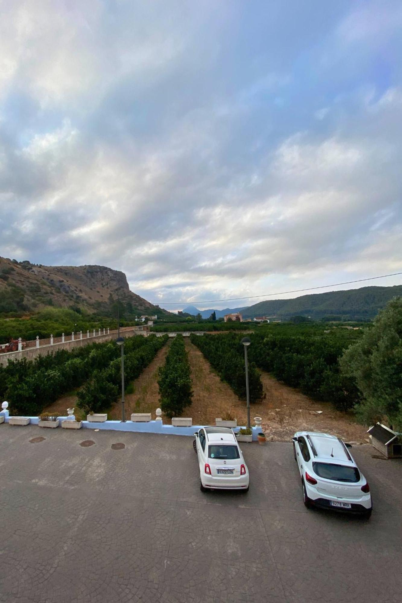 אלזירה Casa Magnolia, A Rural Paradise House With Pool מראה חיצוני תמונה