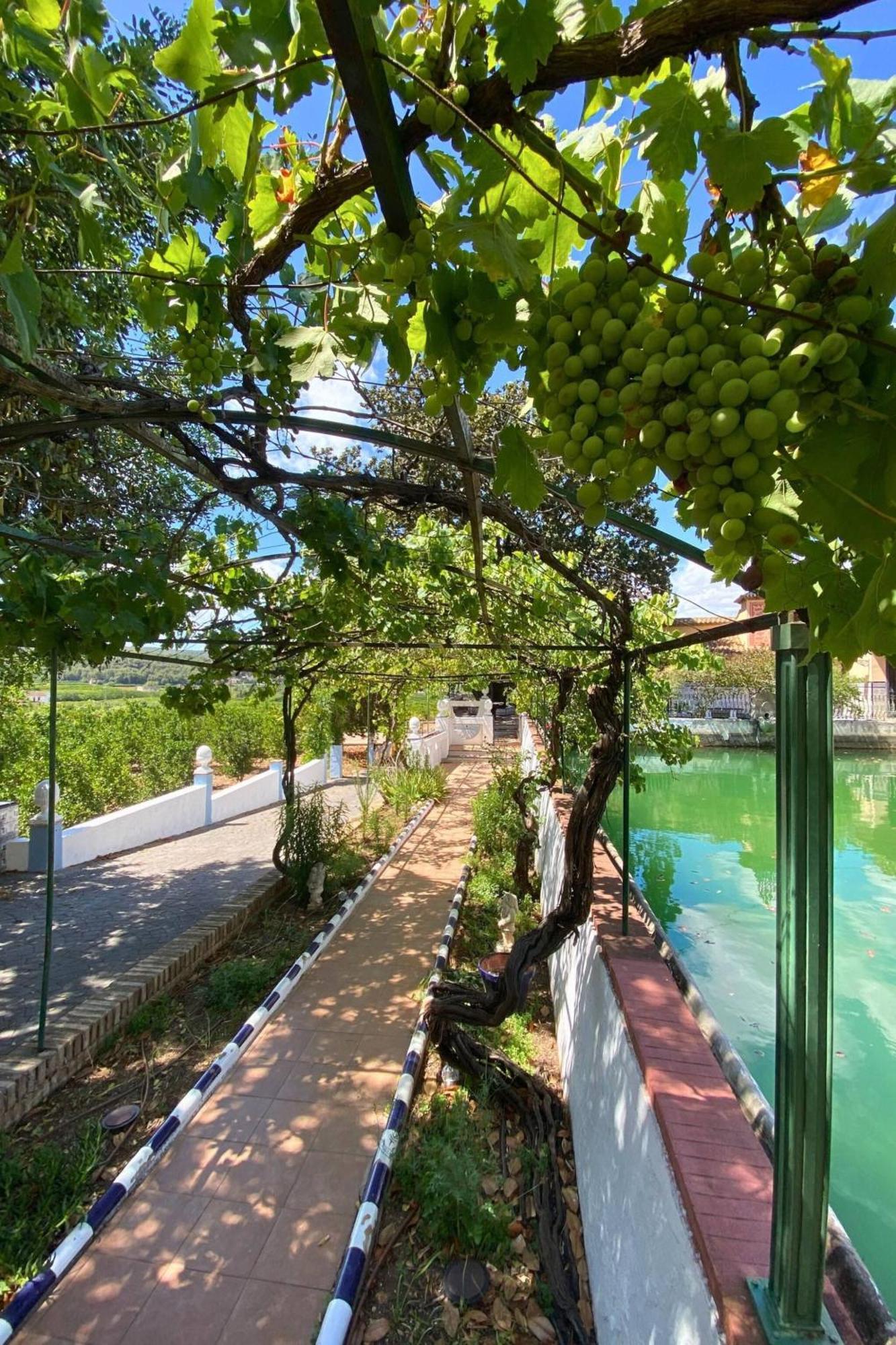 אלזירה Casa Magnolia, A Rural Paradise House With Pool מראה חיצוני תמונה