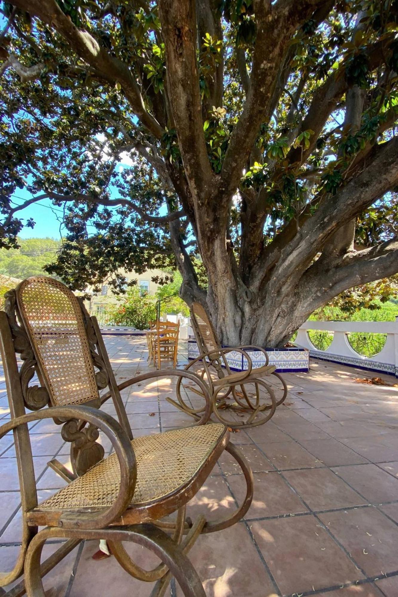 אלזירה Casa Magnolia, A Rural Paradise House With Pool מראה חיצוני תמונה
