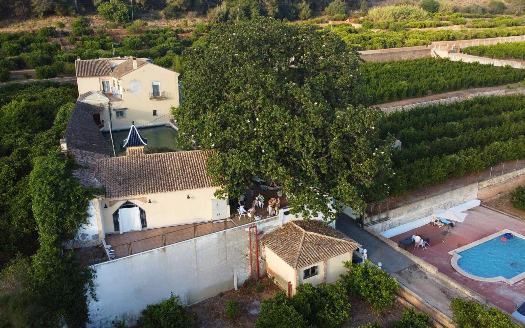 אלזירה Casa Magnolia, A Rural Paradise House With Pool מראה חיצוני תמונה